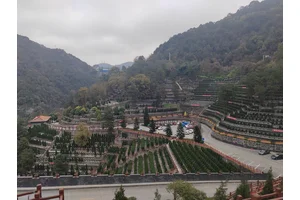 南山陵园服务管理中心，守护逝者安宁