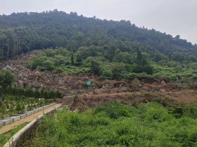 thumb_IMG_20240616_150210