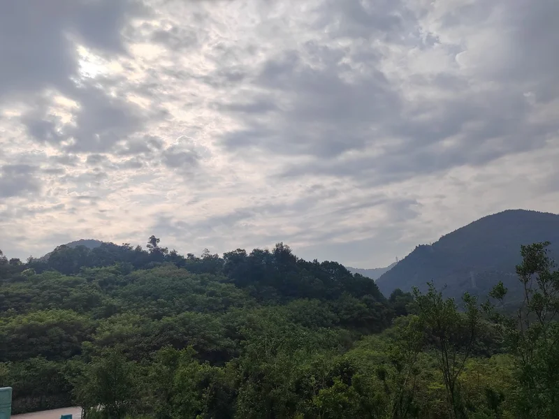 南山陵园，缅怀与传承