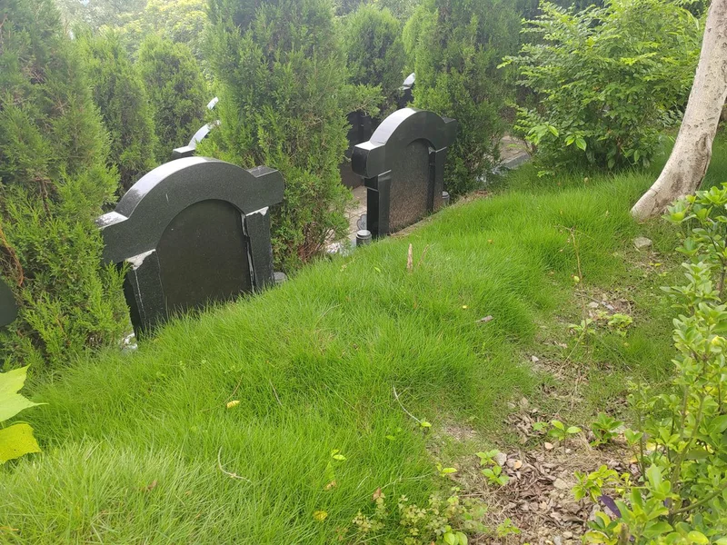 南山公墓真实经历