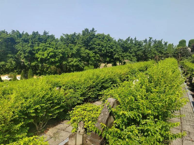 thumb_IMG_20240822_093756