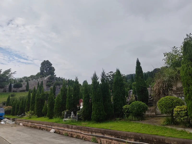 南山公墓故事，一段历史的回响