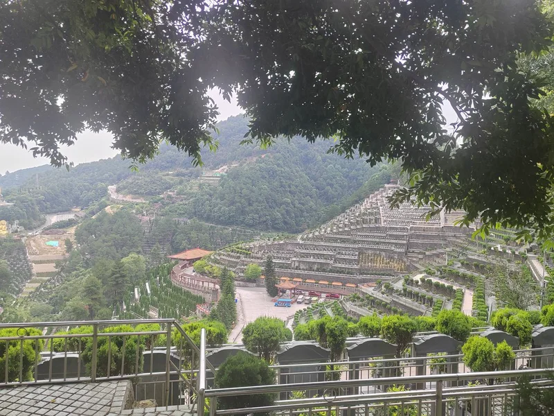 thumb_IMG_20240708_111840