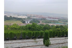 南山公墓清明扫墓