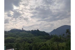 南山陵园，缅怀与传承