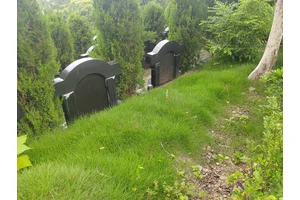 南山公墓真实经历