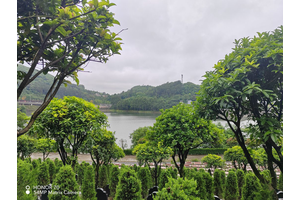 南山公墓陵园，缅怀逝者，传承记忆